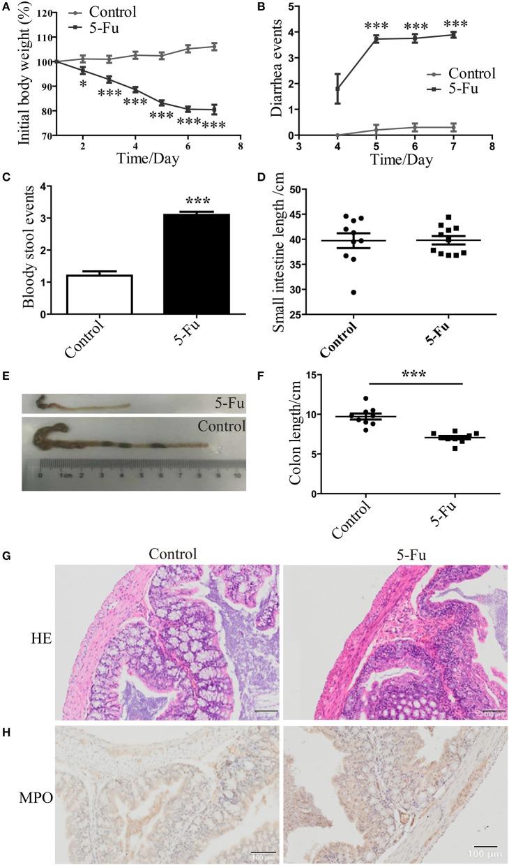 https://cdn.ncbi.nlm.nih.gov/pmc/blobs/86b8/5662589/cdd3e48f4299/fcimb-07-00455-g0001.jpg