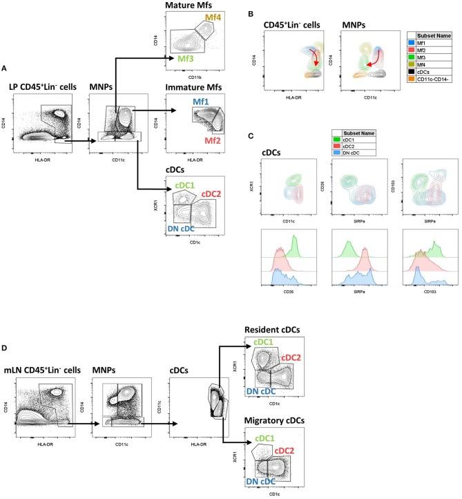 https://cdn.ncbi.nlm.nih.gov/pmc/blobs/86b8/7093381/e1593ccc3967/fimmu-11-00410-g0003.jpg