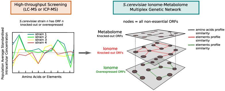 https://cdn.ncbi.nlm.nih.gov/pmc/blobs/86b8/7693762/0b696d9d0070/metabolites-10-00435-g003.jpg