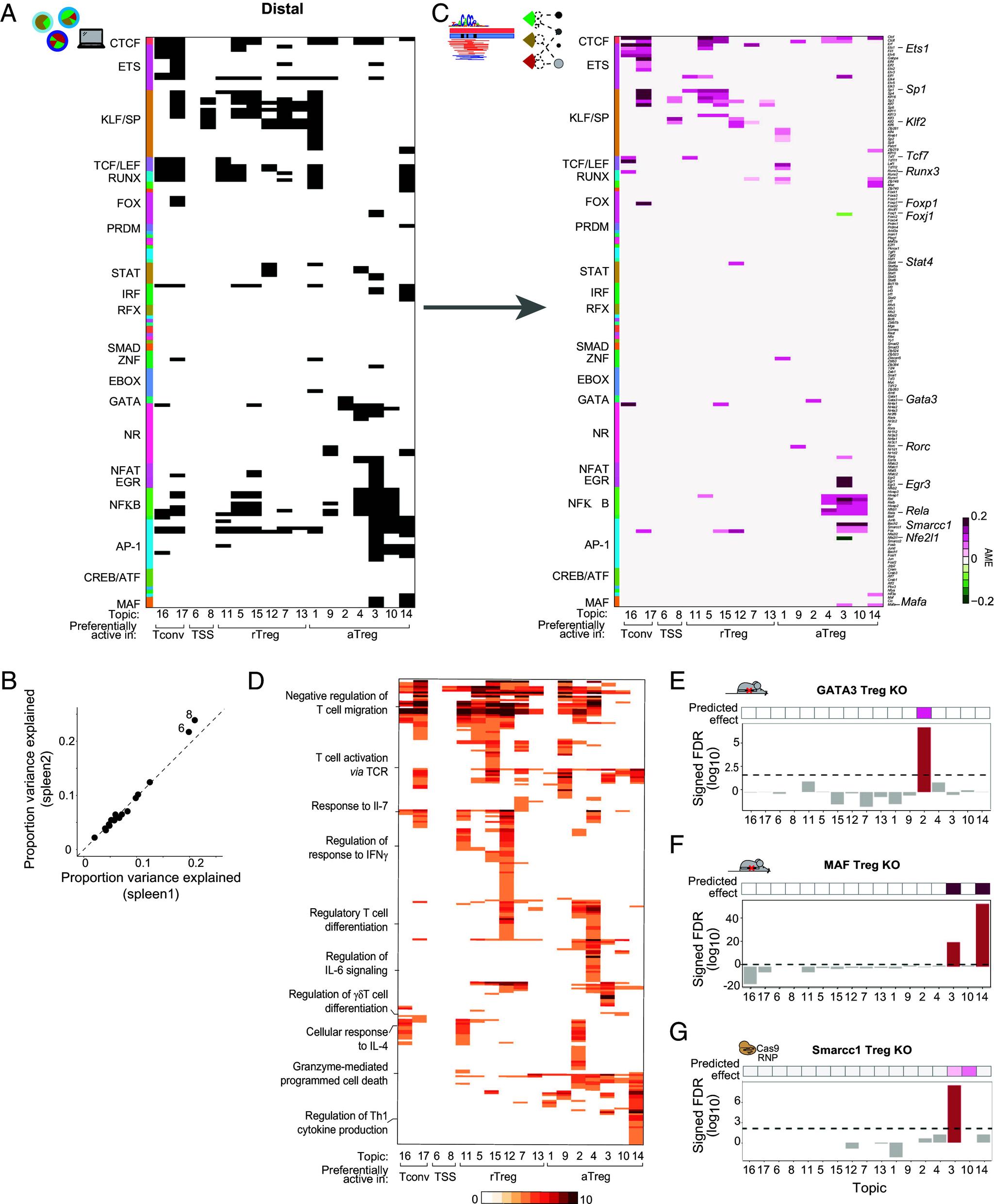 https://cdn.ncbi.nlm.nih.gov/pmc/blobs/86bc/11388289/126bcb1f1085/pnas.2411301121fig02.jpg