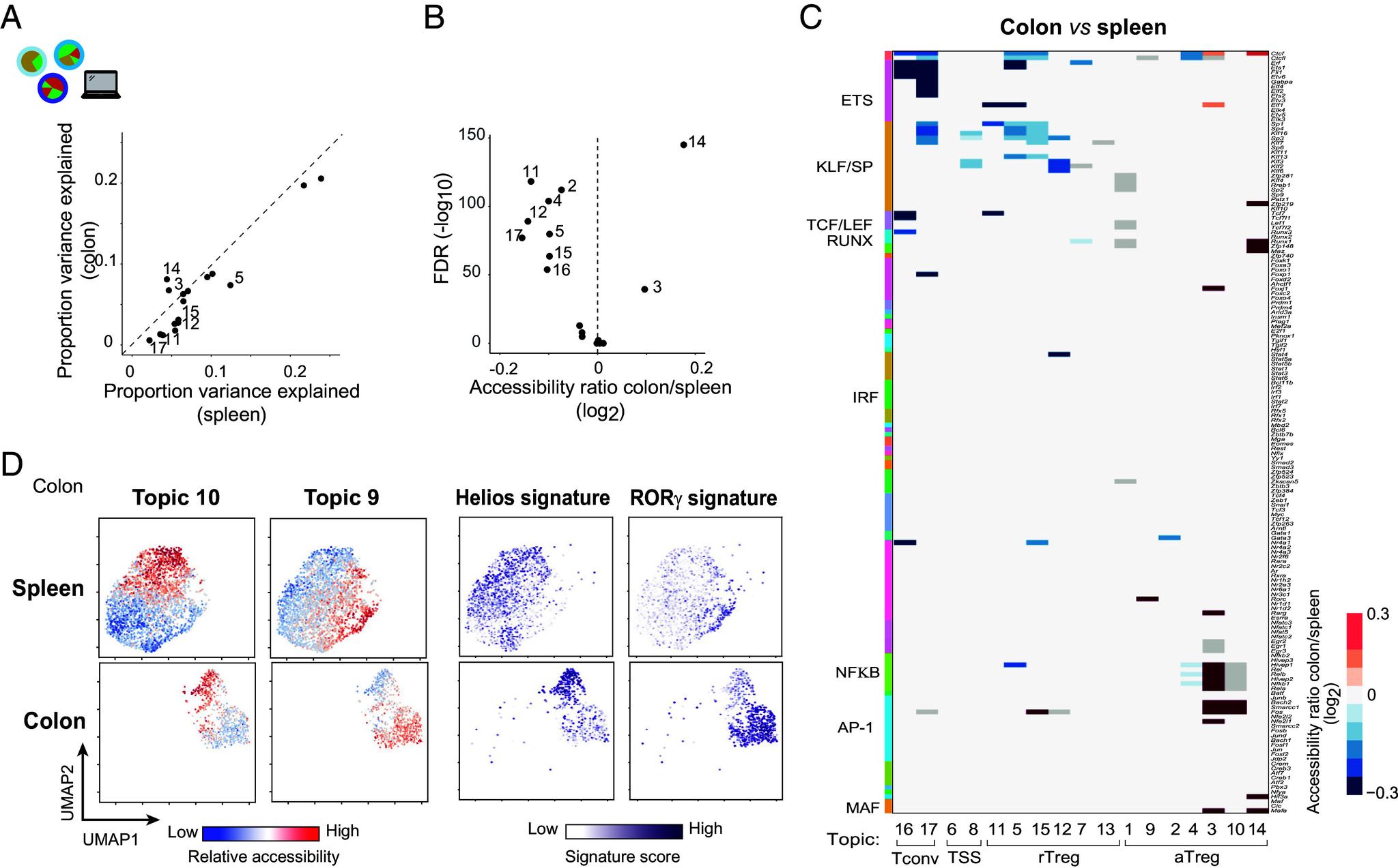 https://cdn.ncbi.nlm.nih.gov/pmc/blobs/86bc/11388289/7339def4c699/pnas.2411301121fig03.jpg