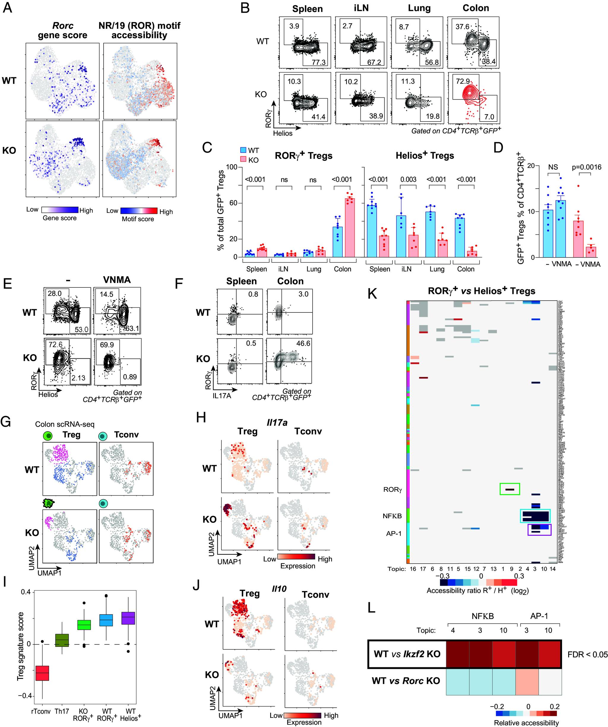 https://cdn.ncbi.nlm.nih.gov/pmc/blobs/86bc/11388289/bd0158db50bb/pnas.2411301121fig05.jpg
