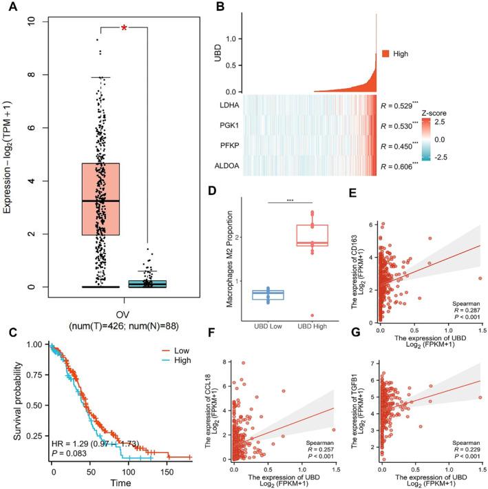 https://cdn.ncbi.nlm.nih.gov/pmc/blobs/86bc/12278697/34c272ad7ac4/CCS3-19-e70034-g003.jpg
