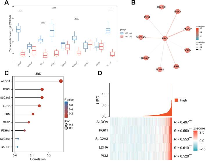 https://cdn.ncbi.nlm.nih.gov/pmc/blobs/86bc/12278697/79a110d9027c/CCS3-19-e70034-g006.jpg