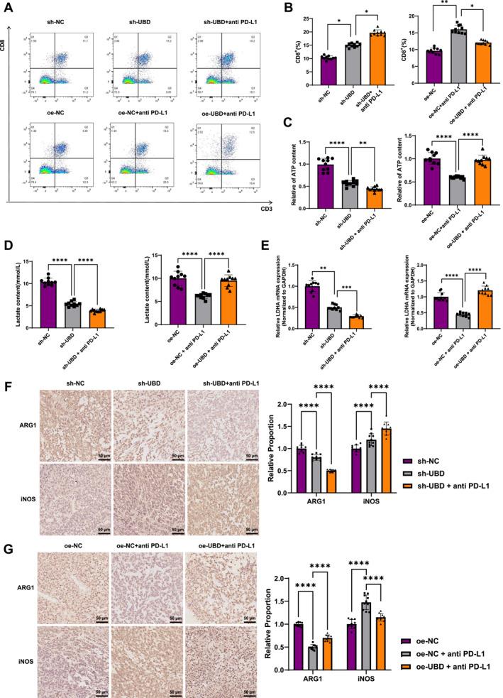 https://cdn.ncbi.nlm.nih.gov/pmc/blobs/86bc/12278697/a292b17cbda1/CCS3-19-e70034-g007.jpg