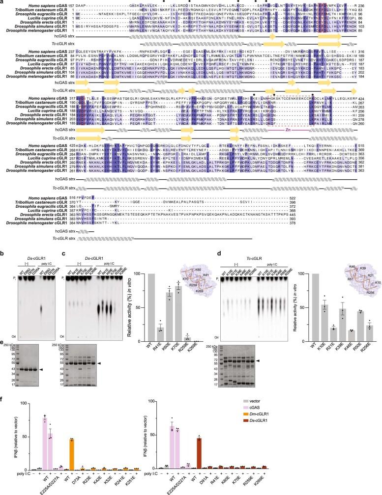 https://cdn.ncbi.nlm.nih.gov/pmc/blobs/86bc/8410604/d9dd13f00e2b/41586_2021_3743_Fig7_ESM.jpg