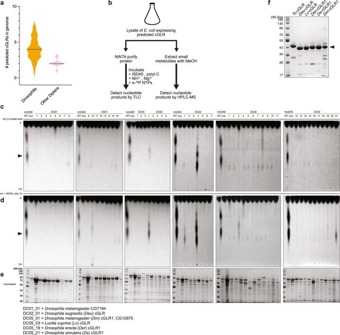 https://cdn.ncbi.nlm.nih.gov/pmc/blobs/86bc/8410604/dacdda018395/41586_2021_3743_Fig6_ESM.jpg