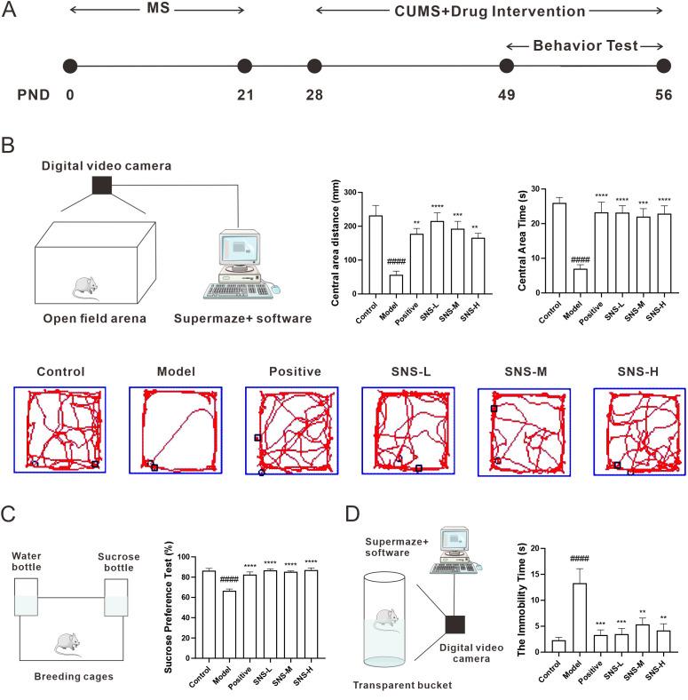 https://cdn.ncbi.nlm.nih.gov/pmc/blobs/86c0/11378754/004ace980a4e/fpsyt-15-1414242-g005.jpg