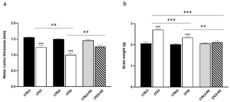 https://cdn.ncbi.nlm.nih.gov/pmc/blobs/86c6/12429407/21adba72674e/ijms-26-08692-g003.jpg