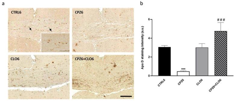 https://cdn.ncbi.nlm.nih.gov/pmc/blobs/86c6/12429407/37b5014ef7d6/ijms-26-08692-g015.jpg