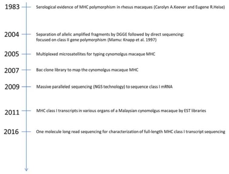 https://cdn.ncbi.nlm.nih.gov/pmc/blobs/86c8/6770713/436f09ed9d48/cells-08-00978-g001.jpg
