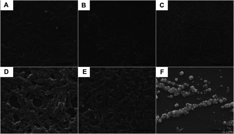 https://cdn.ncbi.nlm.nih.gov/pmc/blobs/86c9/7892467/c7a98c02d25a/fchem-08-622256-g005.jpg