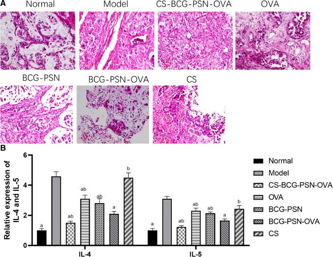 https://cdn.ncbi.nlm.nih.gov/pmc/blobs/86cd/7934352/53f907b02d1e/10096_2021_4183_Fig5_HTML.jpg