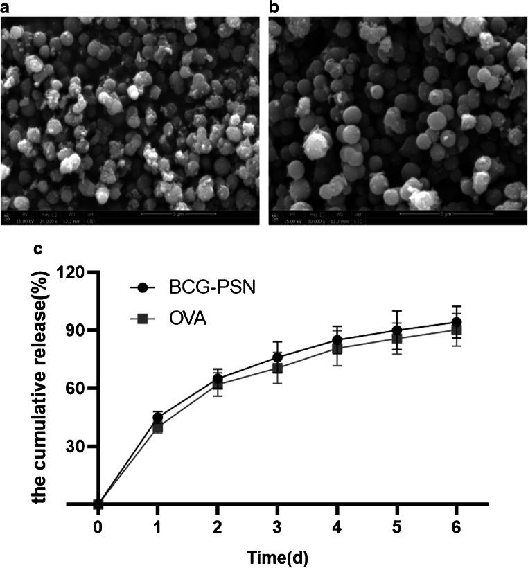 https://cdn.ncbi.nlm.nih.gov/pmc/blobs/86cd/7934352/842837591625/10096_2021_4183_Fig2_HTML.jpg