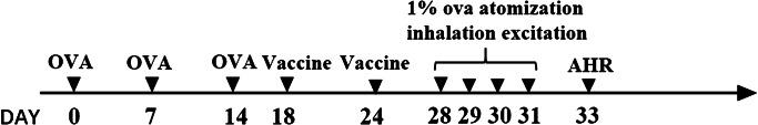 https://cdn.ncbi.nlm.nih.gov/pmc/blobs/86cd/7934352/ebc4d5ca393a/10096_2021_4183_Fig1_HTML.jpg