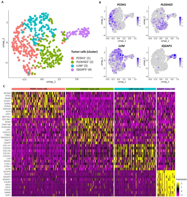 https://cdn.ncbi.nlm.nih.gov/pmc/blobs/86ce/11642494/e24db6342bea/jcm-13-07176-g003.jpg