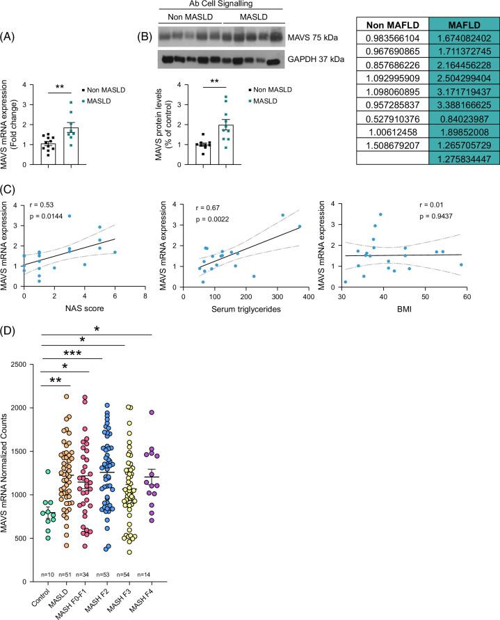 https://cdn.ncbi.nlm.nih.gov/pmc/blobs/86ce/11999095/c471ae63df2f/hep-81-1535-g003.jpg