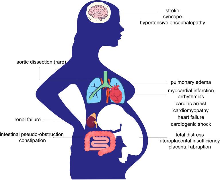 https://cdn.ncbi.nlm.nih.gov/pmc/blobs/86cf/12312014/dda05f7e4c50/fonc-15-1557376-g003.jpg