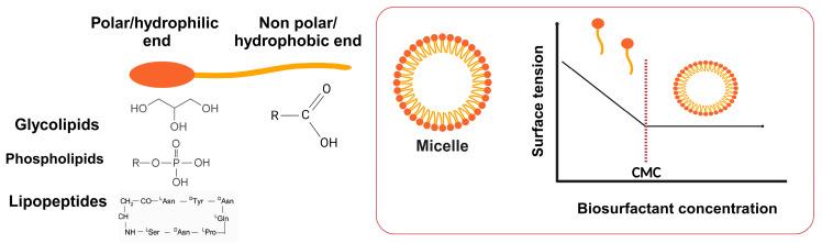 https://cdn.ncbi.nlm.nih.gov/pmc/blobs/86d1/11173842/9152f6f6c1a7/molecules-29-02544-g004.jpg