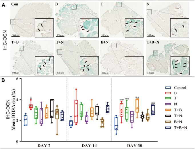 https://cdn.ncbi.nlm.nih.gov/pmc/blobs/86d2/10060664/7a2a659902c7/fbioe-11-1140118-g006.jpg