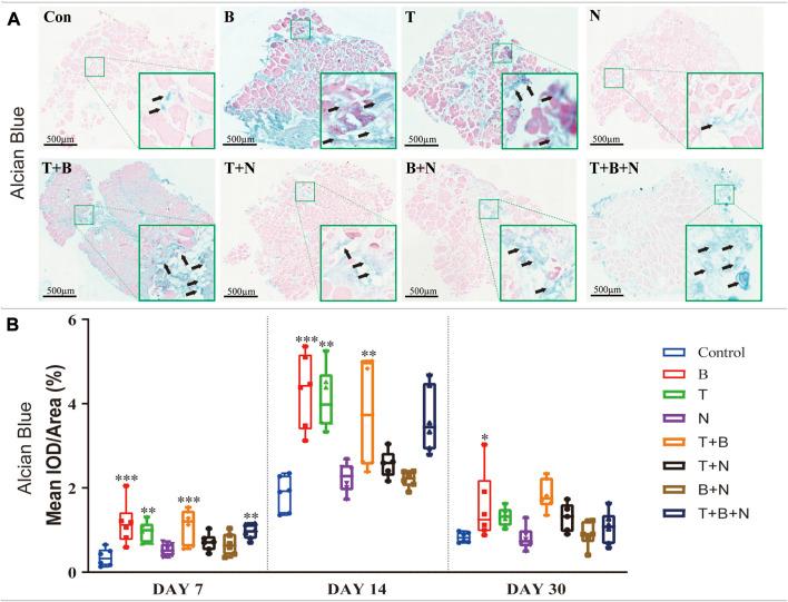 https://cdn.ncbi.nlm.nih.gov/pmc/blobs/86d2/10060664/dfcbbbbfde9b/fbioe-11-1140118-g002.jpg