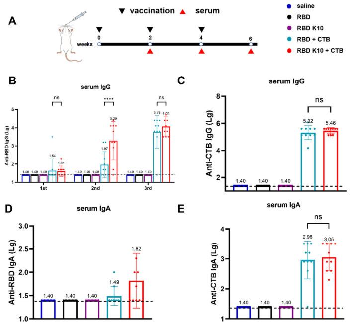 https://cdn.ncbi.nlm.nih.gov/pmc/blobs/86d4/12197615/eba2f101ca2a/vaccines-13-00582-g003.jpg
