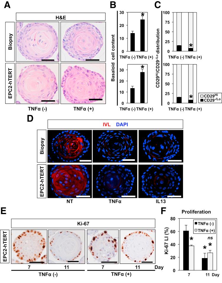 https://cdn.ncbi.nlm.nih.gov/pmc/blobs/86d4/5852293/0077ab56c52c/gr10.jpg