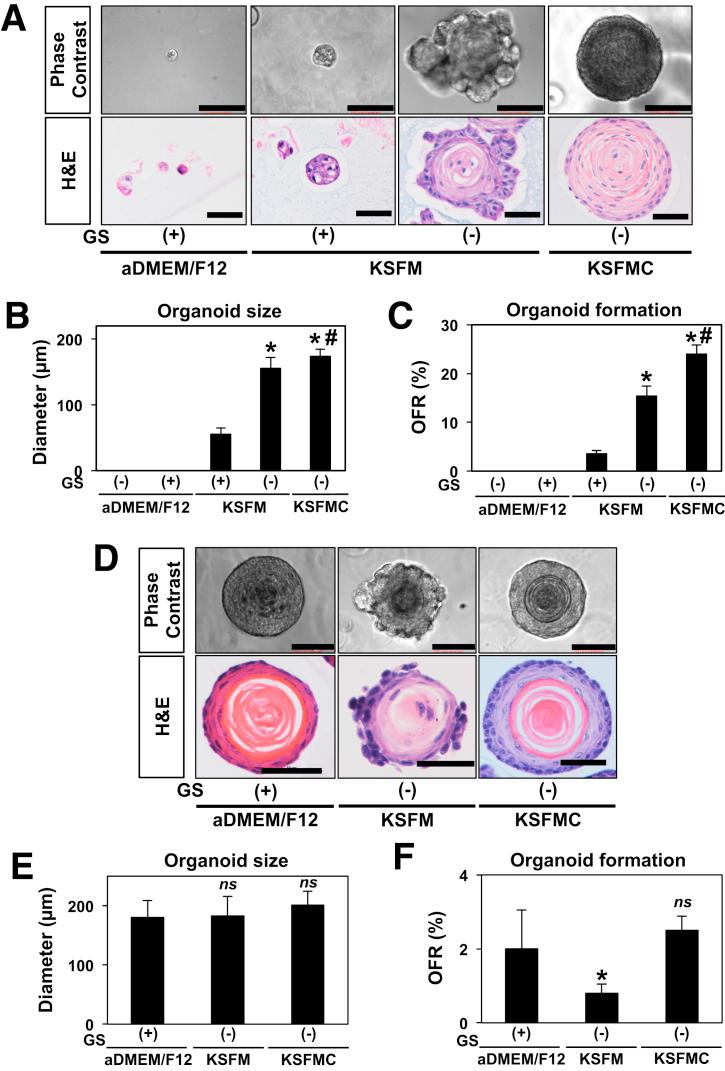 https://cdn.ncbi.nlm.nih.gov/pmc/blobs/86d4/5852293/04ee843437f5/gr2.jpg