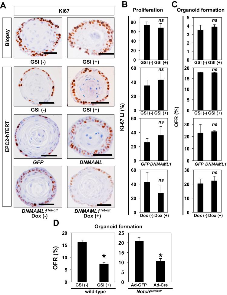 https://cdn.ncbi.nlm.nih.gov/pmc/blobs/86d4/5852293/848995fe98eb/gr7.jpg