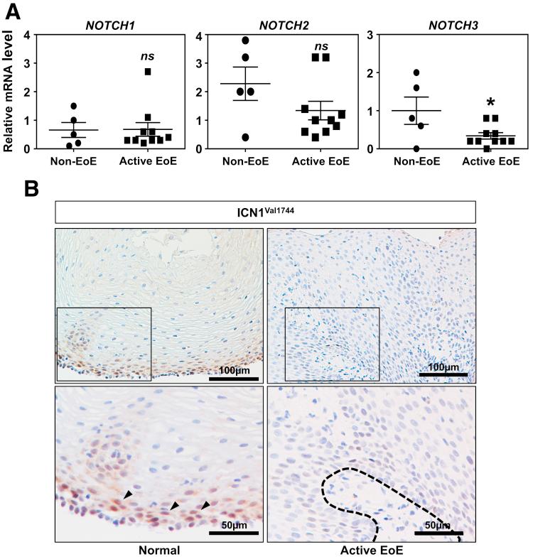 https://cdn.ncbi.nlm.nih.gov/pmc/blobs/86d4/5852293/ada28dd7703c/gr8.jpg