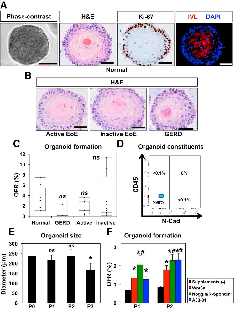 https://cdn.ncbi.nlm.nih.gov/pmc/blobs/86d4/5852293/d27eb9af14c6/gr4.jpg