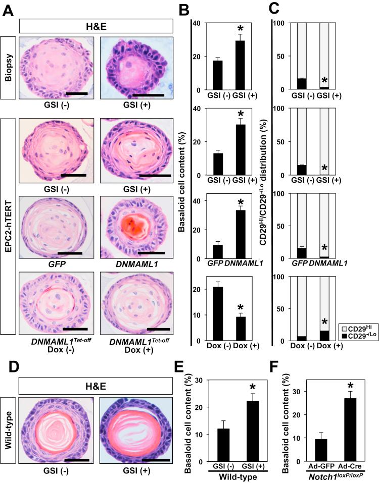 https://cdn.ncbi.nlm.nih.gov/pmc/blobs/86d4/5852293/de4aec91abf0/gr5.jpg