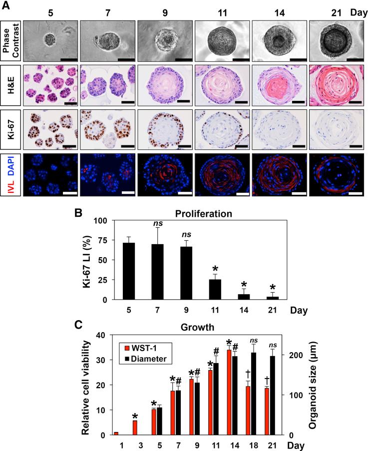 https://cdn.ncbi.nlm.nih.gov/pmc/blobs/86d4/5852293/e40b87a9522e/gr3.jpg