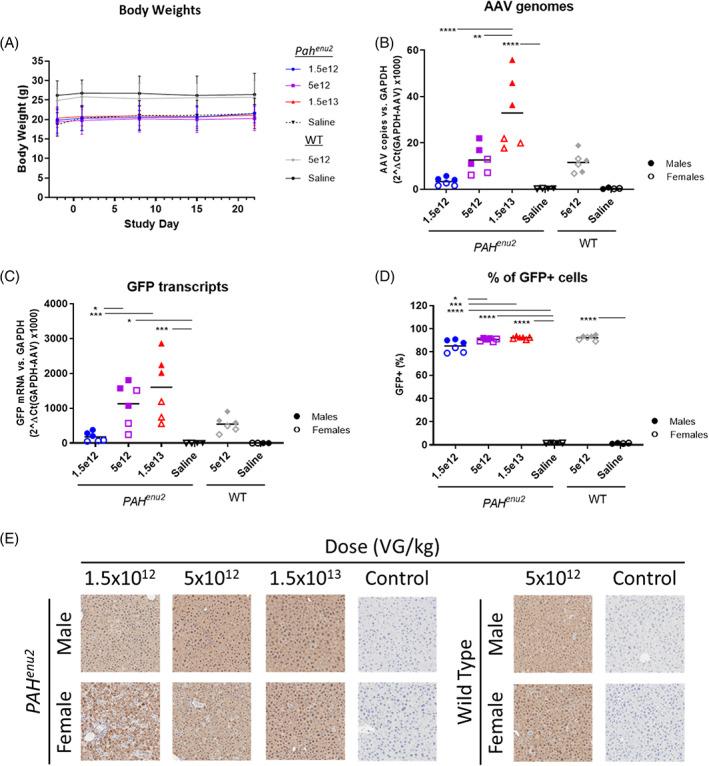 https://cdn.ncbi.nlm.nih.gov/pmc/blobs/86d4/9291745/345e1a9be58f/JIMD-44-1369-g004.jpg