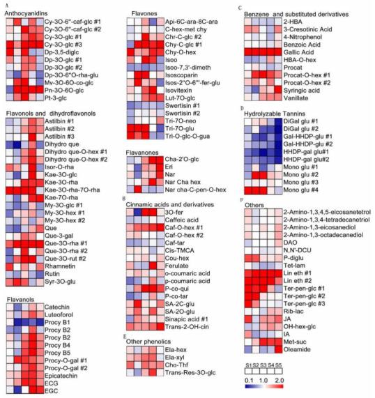 https://cdn.ncbi.nlm.nih.gov/pmc/blobs/86d5/8230651/da8f7fd897a0/metabolites-11-00377-g005.jpg