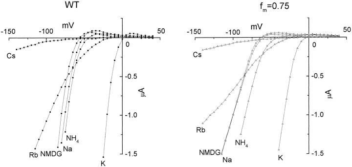 https://cdn.ncbi.nlm.nih.gov/pmc/blobs/86d6/2229401/3529f4854db4/JGP.7554f10.jpg