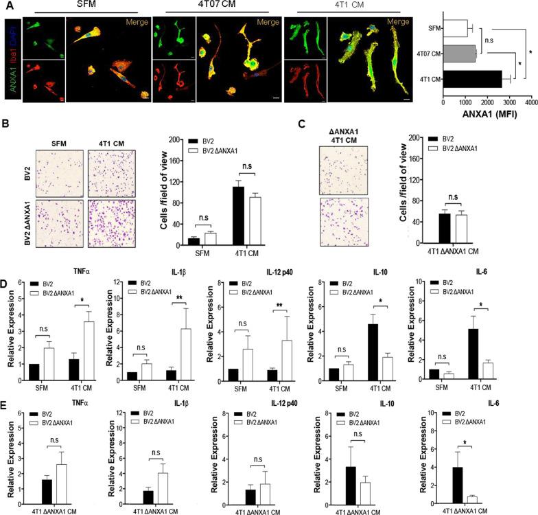 https://cdn.ncbi.nlm.nih.gov/pmc/blobs/86d6/8985313/a4cc6cea416b/13058_2022_1514_Fig5_HTML.jpg
