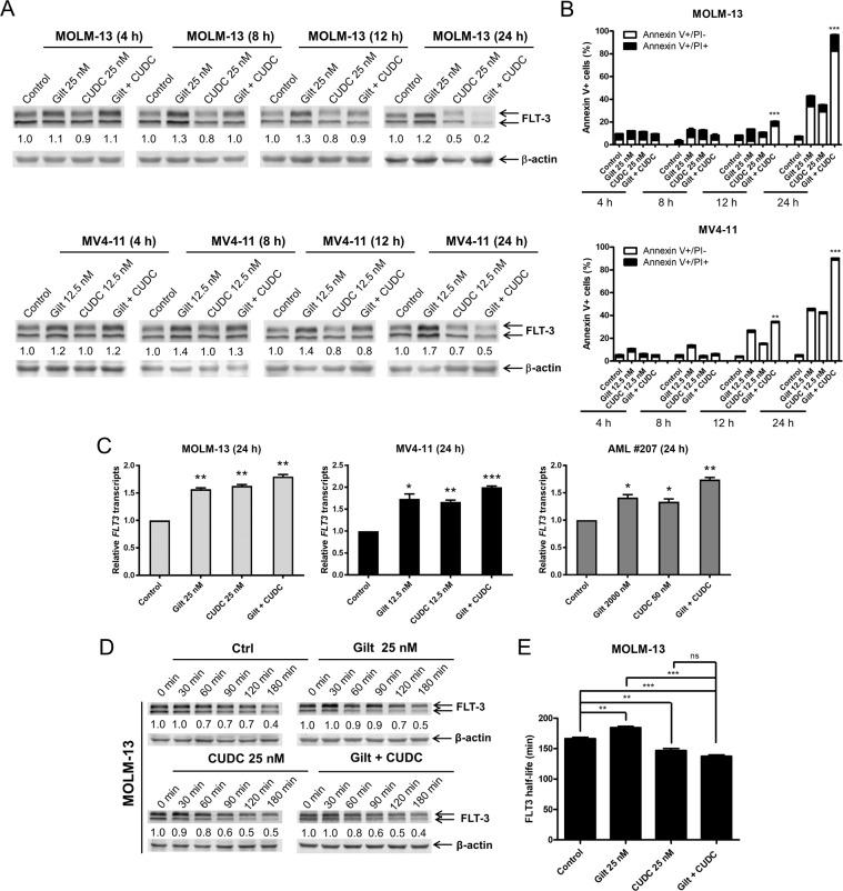 https://cdn.ncbi.nlm.nih.gov/pmc/blobs/86d7/8184771/ab30279cf1bd/41408_2021_502_Fig4_HTML.jpg