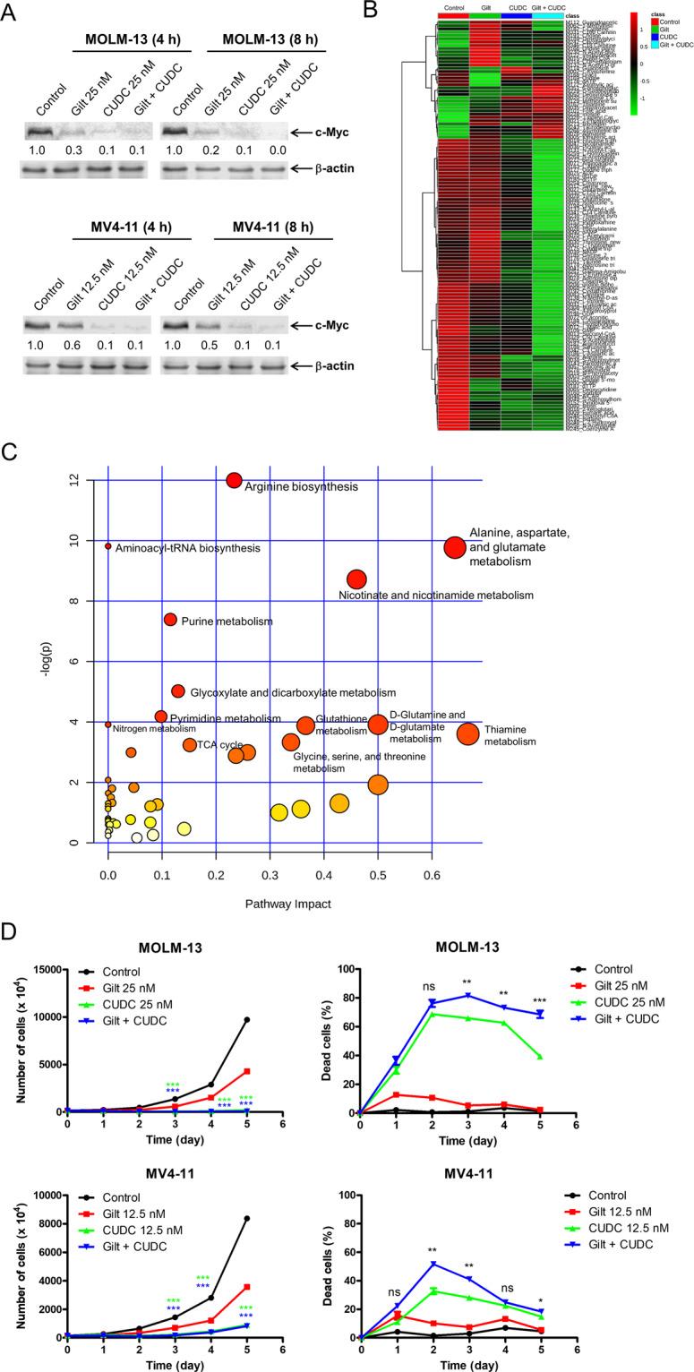 https://cdn.ncbi.nlm.nih.gov/pmc/blobs/86d7/8184771/bb6cbed42a7b/41408_2021_502_Fig6_HTML.jpg