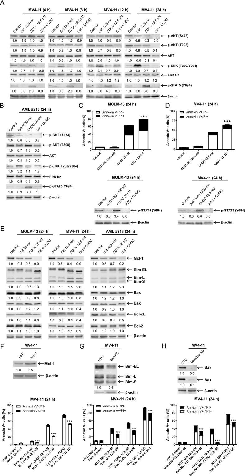 https://cdn.ncbi.nlm.nih.gov/pmc/blobs/86d7/8184771/fd08116ac9f1/41408_2021_502_Fig5_HTML.jpg