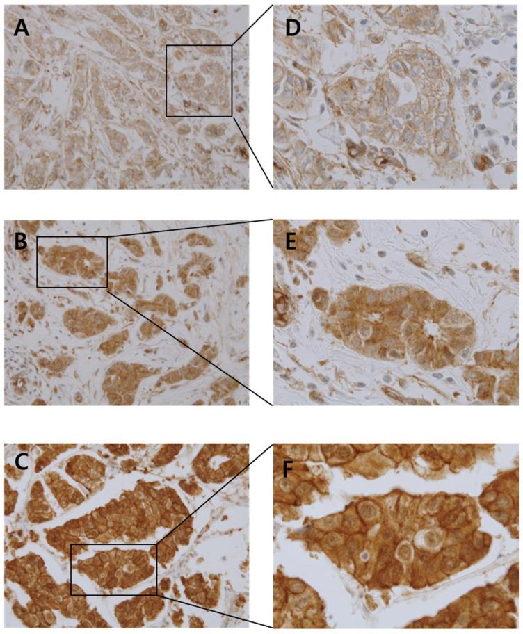 https://cdn.ncbi.nlm.nih.gov/pmc/blobs/86d8/10530131/06bc9d8468b6/diagnostics-13-02876-g001.jpg