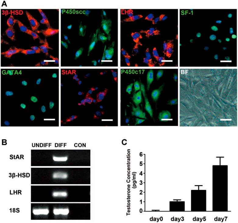 https://cdn.ncbi.nlm.nih.gov/pmc/blobs/86db/4260348/930ca6f0ef3a/cr2014149f6.jpg