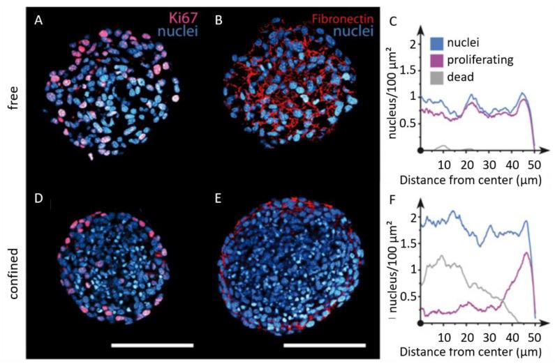 https://cdn.ncbi.nlm.nih.gov/pmc/blobs/86dc/9855568/448d15fc7688/biomolecules-13-00103-g008.jpg