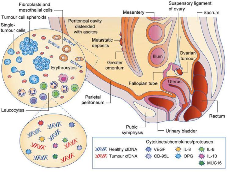 https://cdn.ncbi.nlm.nih.gov/pmc/blobs/86dc/9855568/69be93add9e6/biomolecules-13-00103-g001.jpg