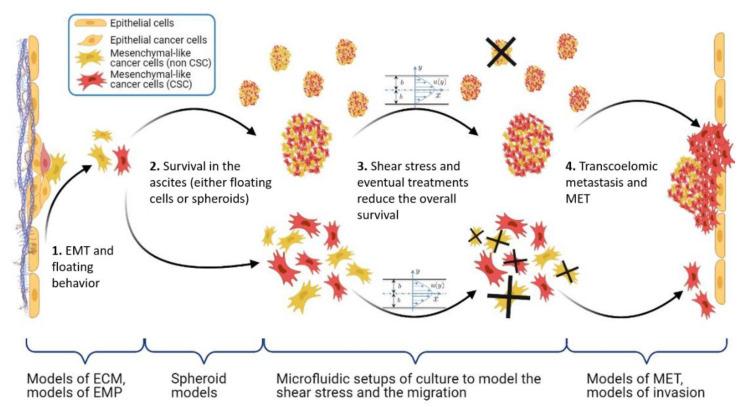 https://cdn.ncbi.nlm.nih.gov/pmc/blobs/86dc/9855568/afc54dbfdd85/biomolecules-13-00103-g005.jpg