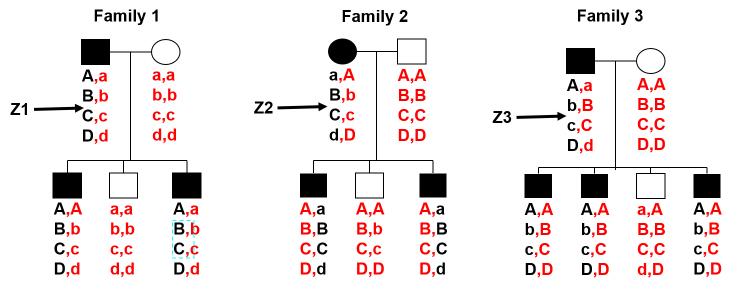https://cdn.ncbi.nlm.nih.gov/pmc/blobs/86df/5767476/71eb31b81b49/mv-v24-29-f1.jpg