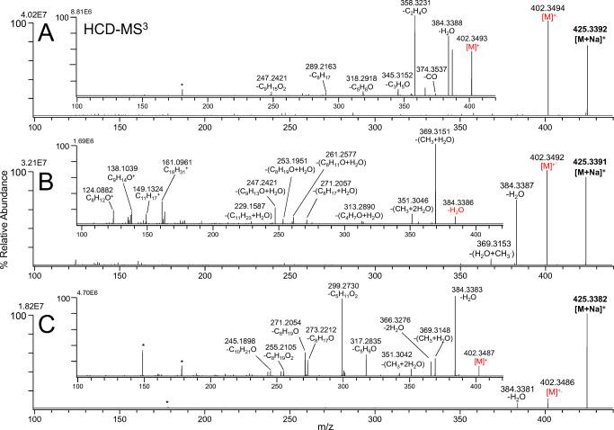 https://cdn.ncbi.nlm.nih.gov/pmc/blobs/86e1/8440309/609202ebffe4/216_2021_3425_Fig3_HTML.jpg