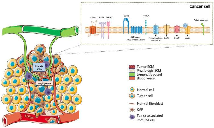 https://cdn.ncbi.nlm.nih.gov/pmc/blobs/86e2/10303056/013a0ce5dded/pharmaceutics-15-01733-g002.jpg