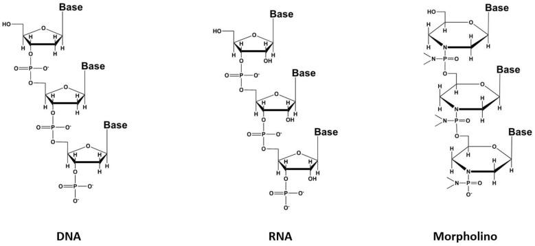 https://cdn.ncbi.nlm.nih.gov/pmc/blobs/86e2/10303056/7bbc1a374ef6/pharmaceutics-15-01733-g005.jpg
