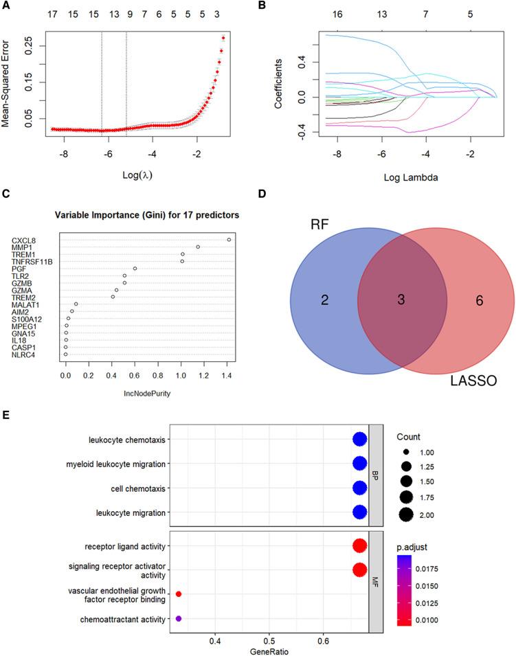 https://cdn.ncbi.nlm.nih.gov/pmc/blobs/86e4/10850341/204502ef9775/fcvm-11-1340199-g005.jpg